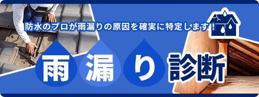 雨漏り診断