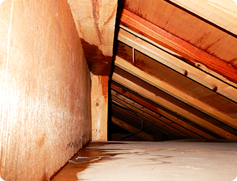 外壁・屋根の劣化