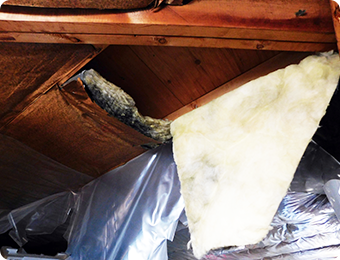 雨漏りによる劣化