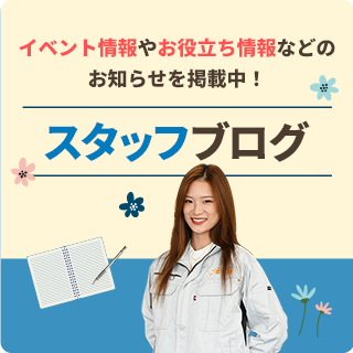 スタッフブログ