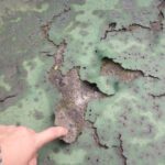 防水　ウレタン　劣化　剥がれ　破れ