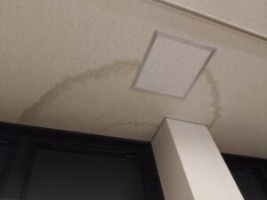 雨漏り　染み　クロス　天井