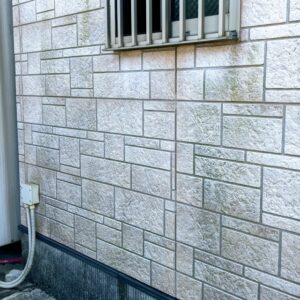 外壁劣化　コケ　カビ