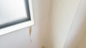 雨漏り 剥がれ クロス