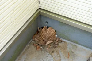 防水 排水 ドレン 詰まり