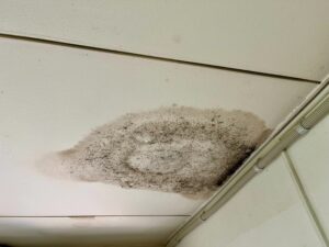 雨漏り
